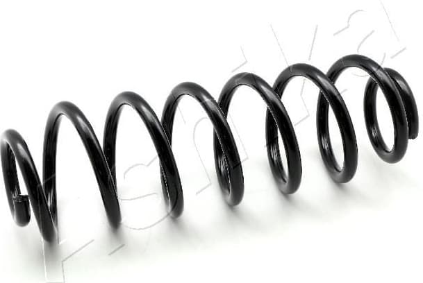 Suspension Spring ZCA5549H
