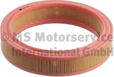 Air Filter 50013077