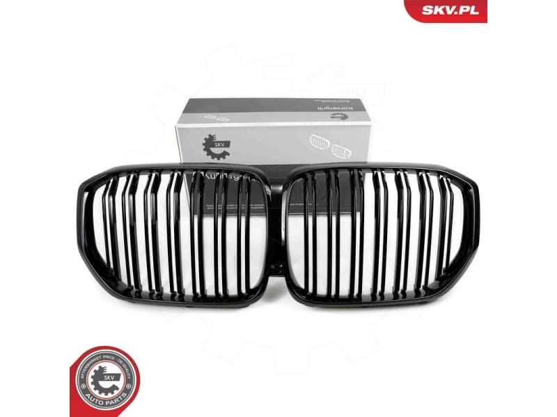 Radiator Grille 66SKV303