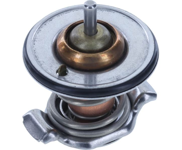 Thermostat, coolant 484-90InsK