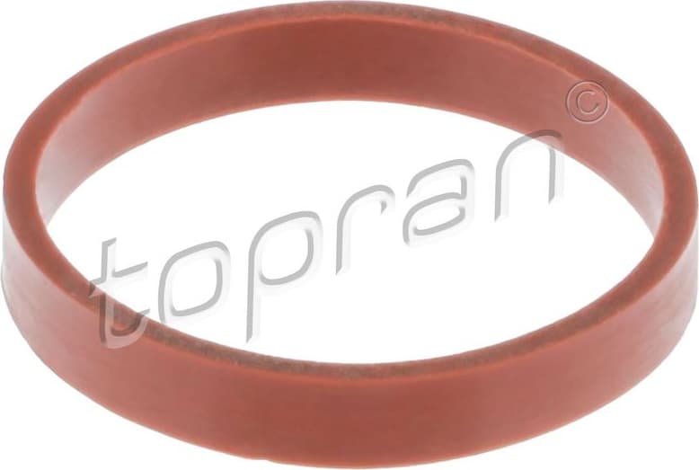 Gasket, intake manifold 113 886