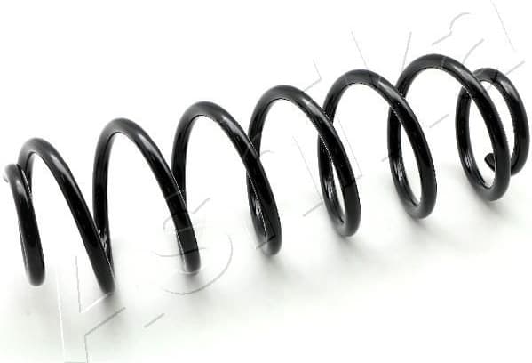 Suspension Spring ZCA5539H