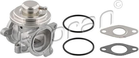 EGR Valve 113 163