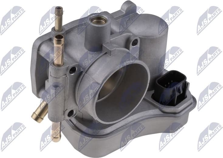 Throttle Body ETB-PL-009