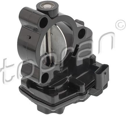 Throttle Body 504 199