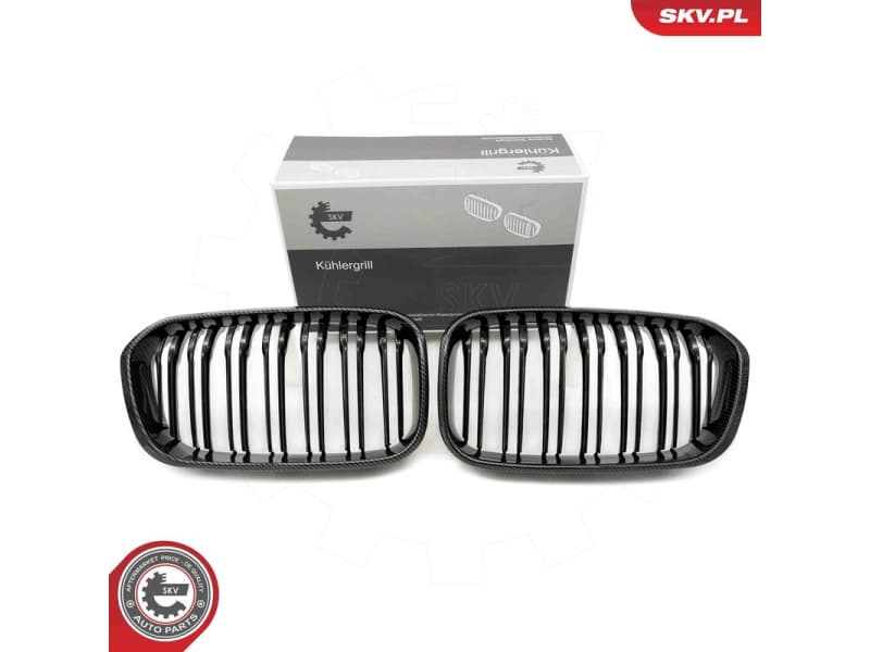 Radiator Grille 66SKV019