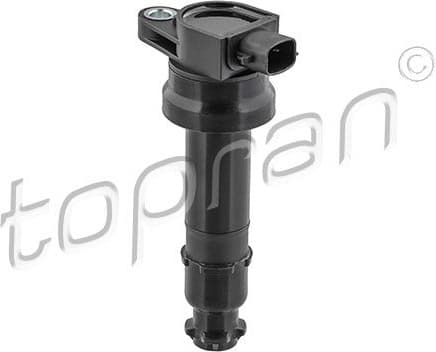 Ignition Coil 821 429