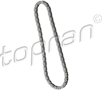 Timing Chain 208 822