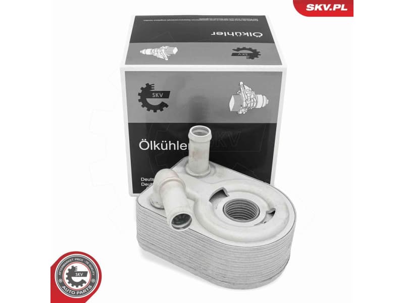 Oil Cooler, engine oil 31SKV303