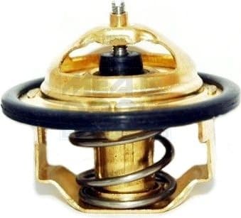 Thermostat, coolant 92182