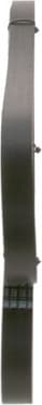 V-ribbed Belt 1987945745 - image 6