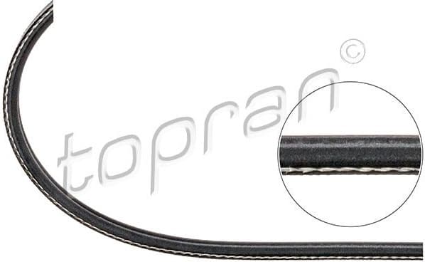 V-ribbed Belt 109 623