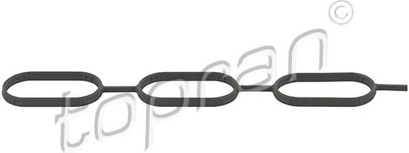 Gasket, intake manifold 111 923