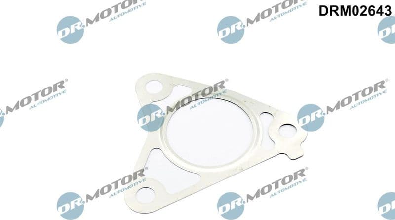 Gasket, thermostat housing DRM02643