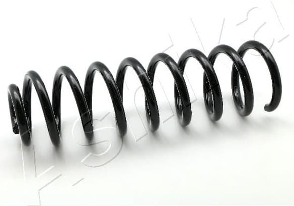 Suspension Spring ZCA6093A