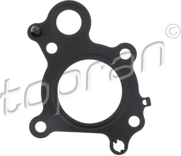 Gasket, EGR valve 411 267