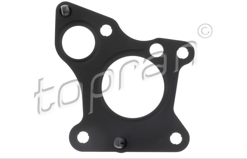 Gasket, EGR valve 411 266
