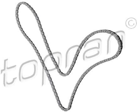 Timing Chain 117 891