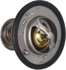 Thermostat, coolant 7710050