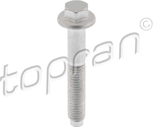 Screw, injection nozzle holder 306 103
