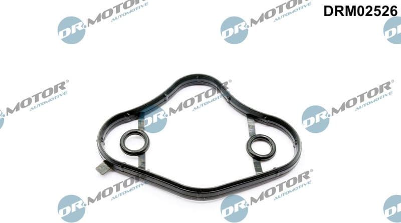 Gasket, fuel pump DRM02526