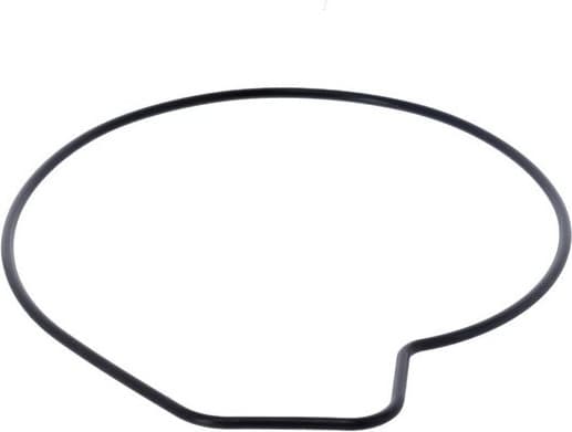 Water Pump, engine cooling 529343 - image 4