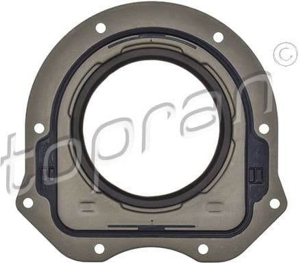 Shaft Seal, crankshaft 302 166