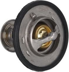 Thermostat, coolant 7710132