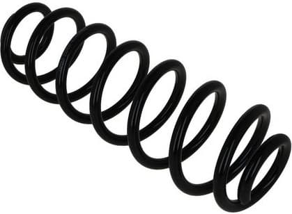 Suspension Spring 2120615