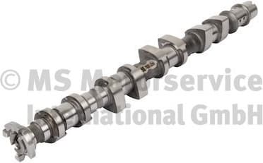 Camshaft 50007928