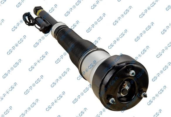Air Suspension Strut 30900342