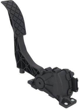 Accelerator Pedal 4200013