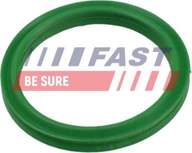 Seal Ring, charge air hose FT49936