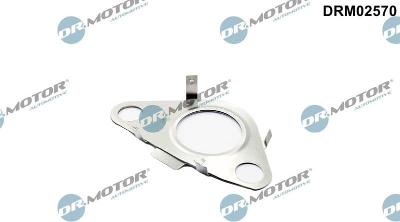 Gasket, EGR valve pipe DRM02570