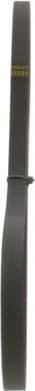 V-ribbed Belt 1987947846 - image 8