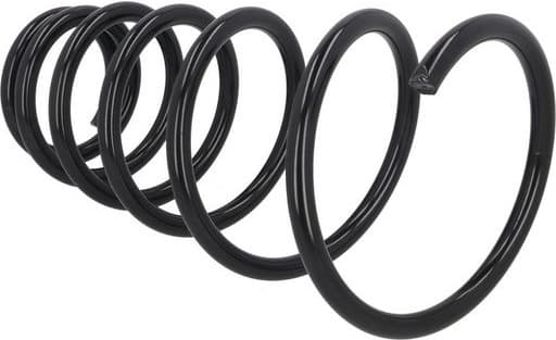 Suspension Spring 2120489