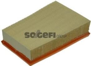 Air Filter A1317