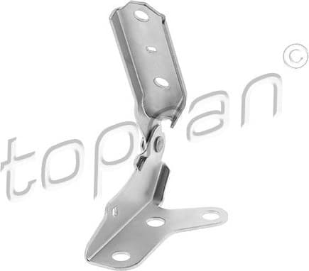 Hinge, bonnet 119 516