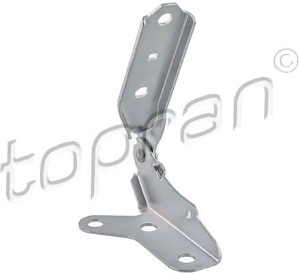 Hinge, bonnet 119 515