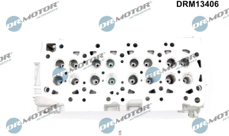 Cylinder Head DRM13406 - image 2