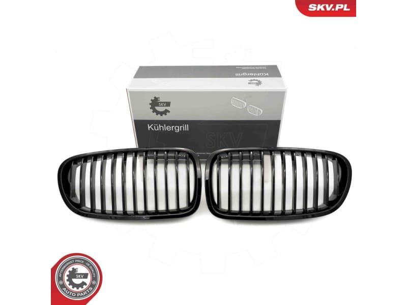 Radiator Grille 66SKV179