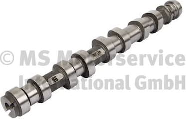 Camshaft 50007935