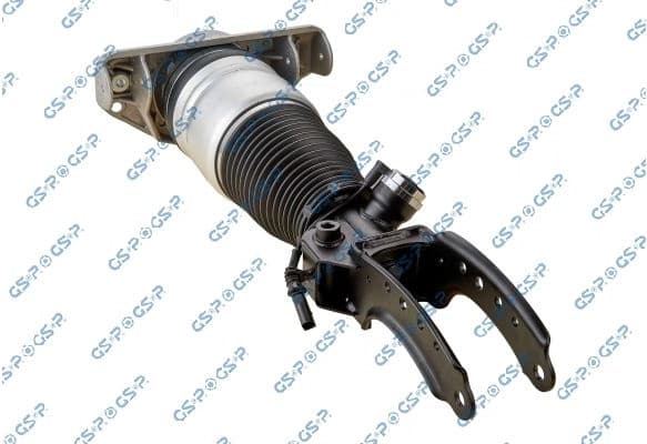Air Suspension Strut 30900131