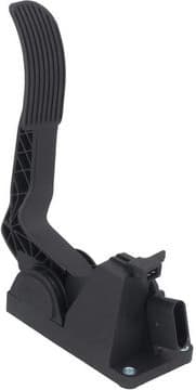 Accelerator Pedal 4200026