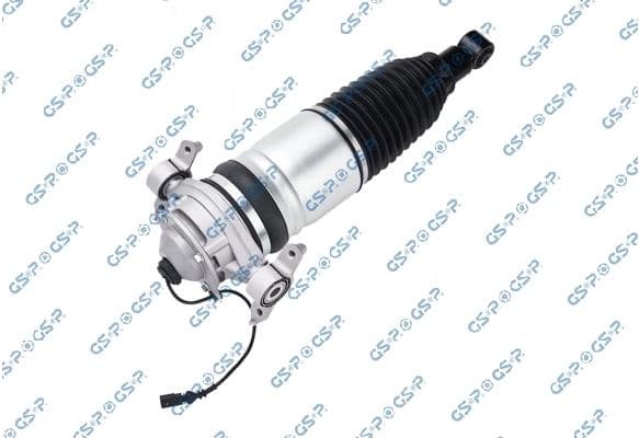 Air Suspension Strut 30900252