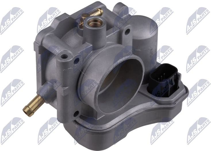 Throttle Body ETB-PL-014
