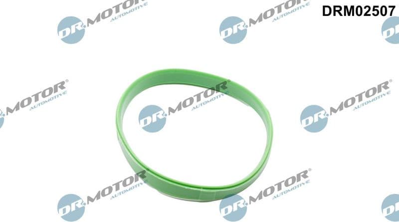 Gasket, throttle body DRM02507