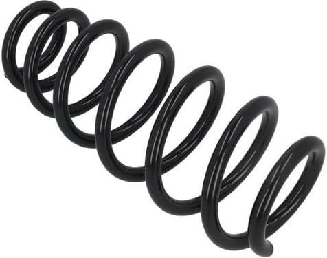 Suspension Spring 2110378