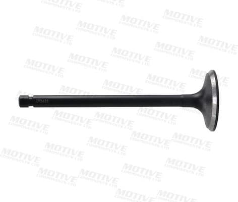 Intake Valve IV3426 - image 2