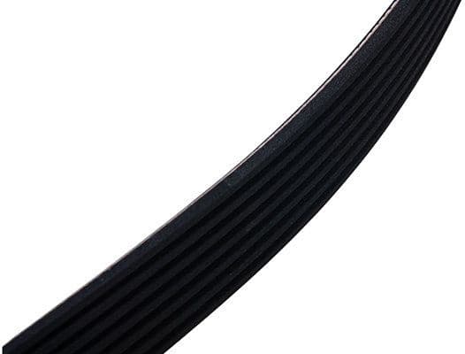 V-ribbed Belt 97-01955-SX - image 3